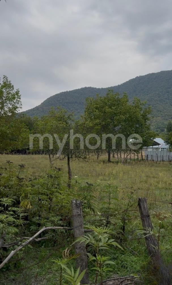  Bakı şəhərində torpaq satılır