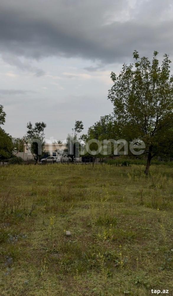  Bakı şəhərində torpaq satılır