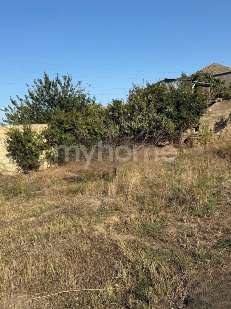  Saray qəsəbəsində torpaq satılır