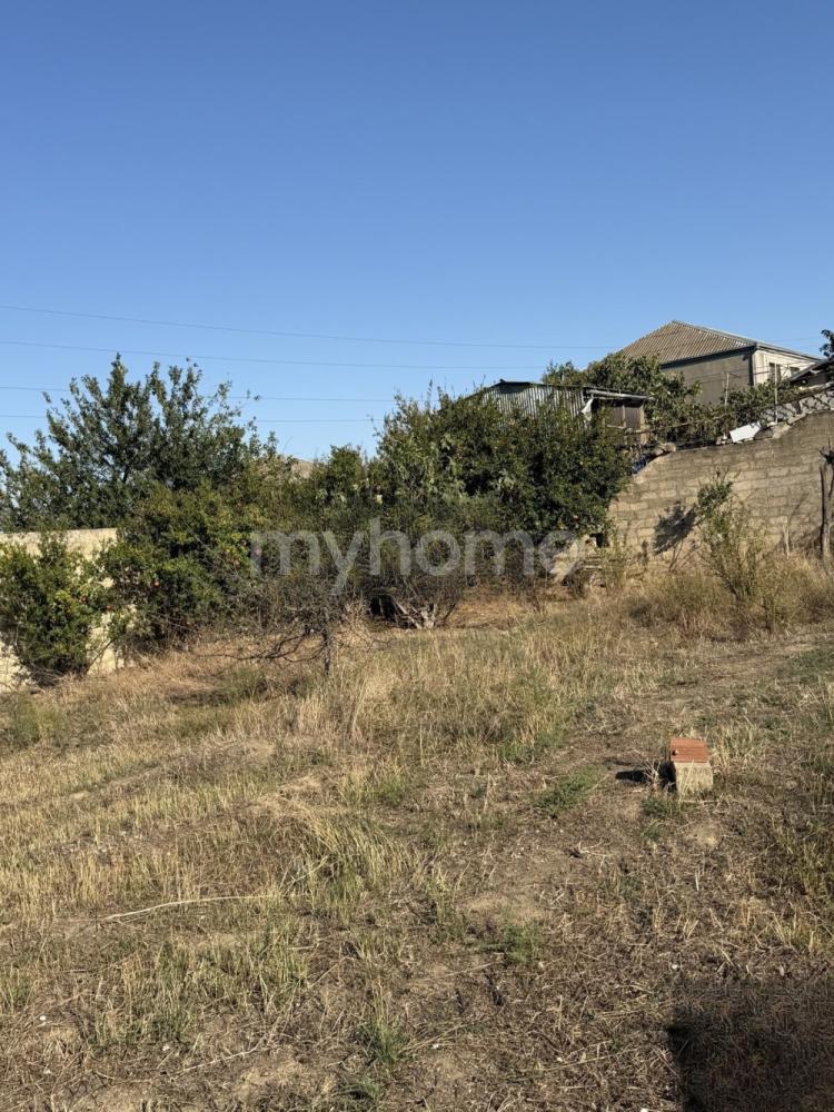  Saray qəsəbəsində torpaq satılır