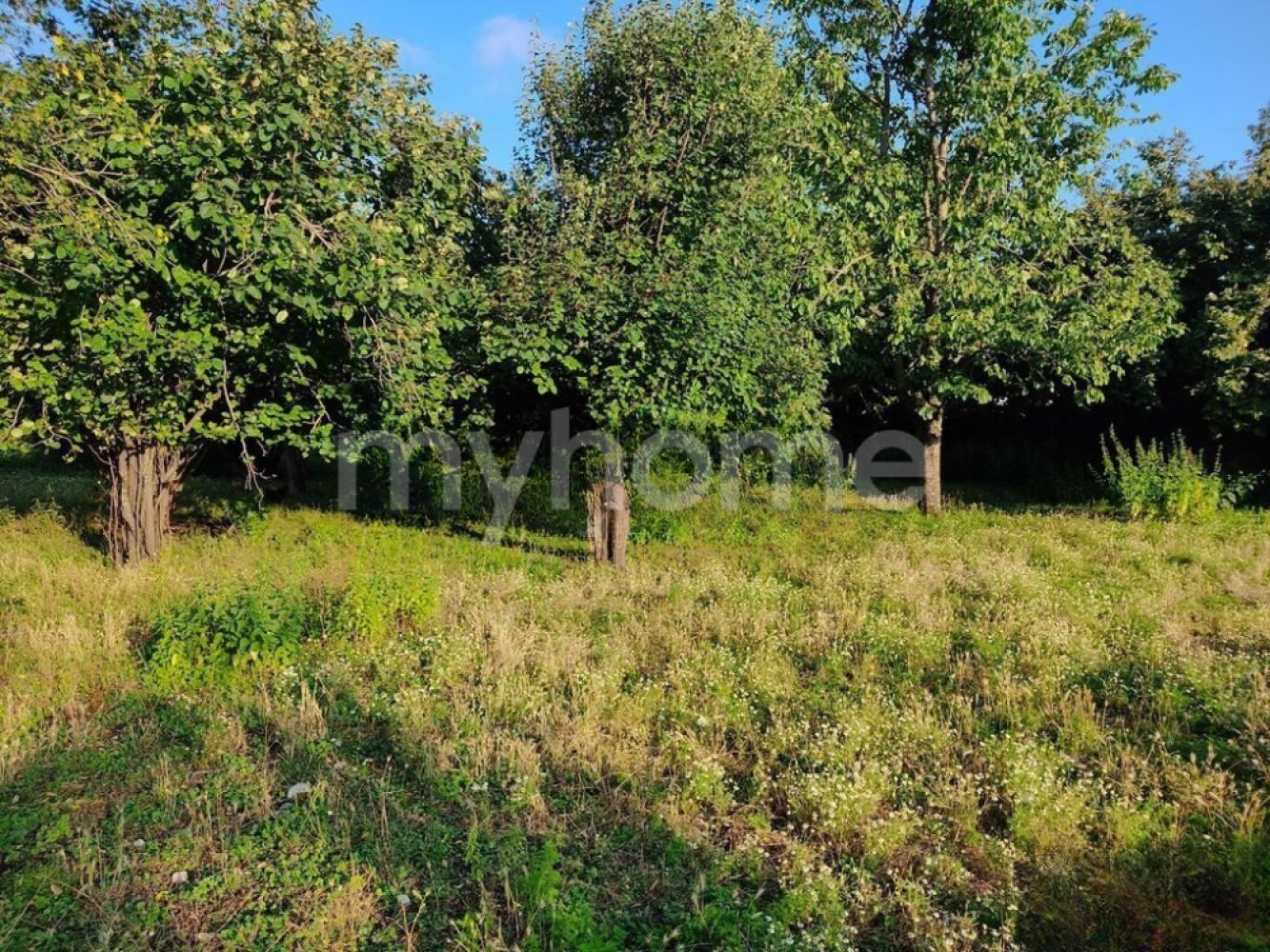  Bakı şəhərində torpaq satılır