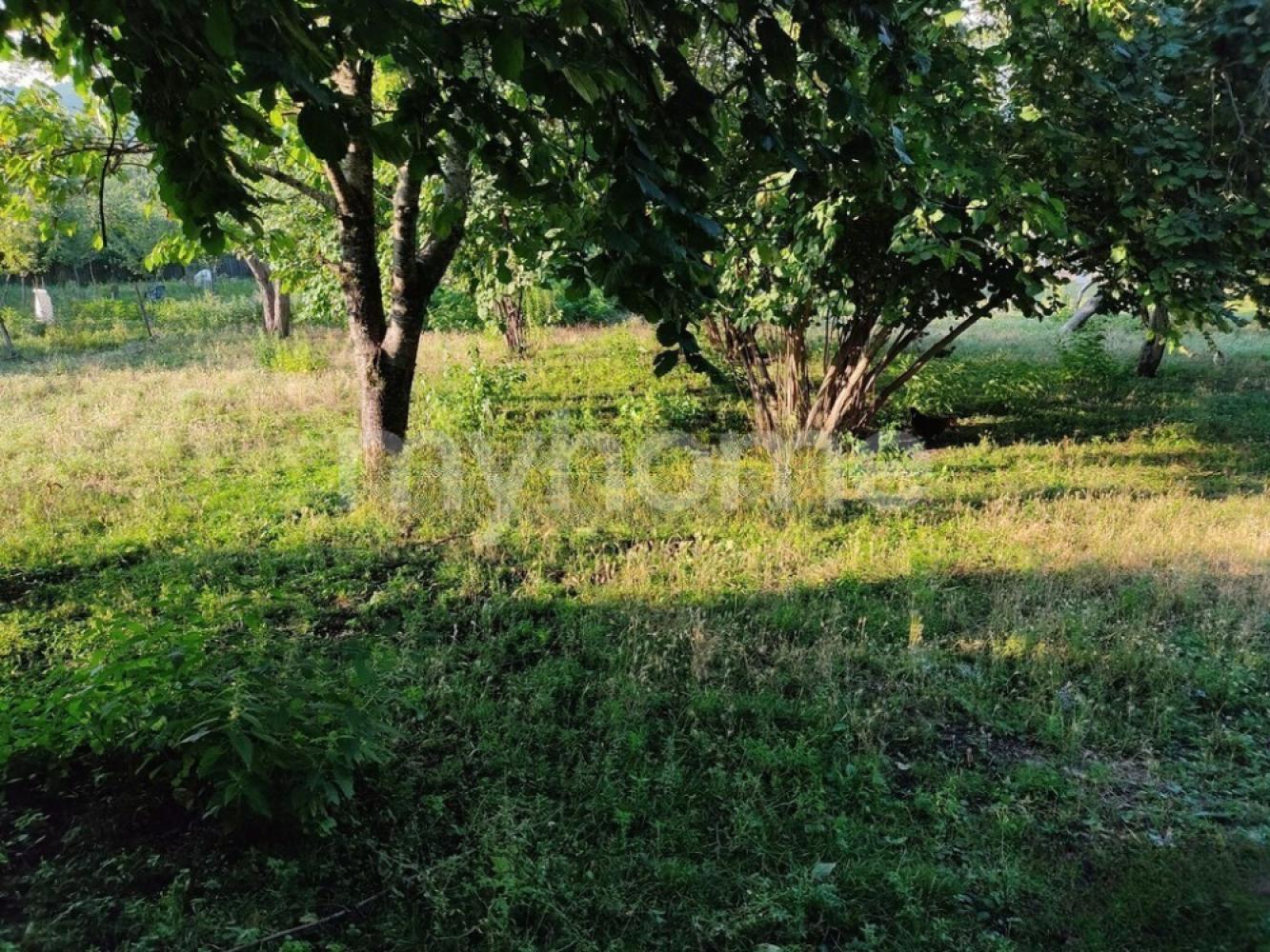  Bakı şəhərində torpaq satılır
