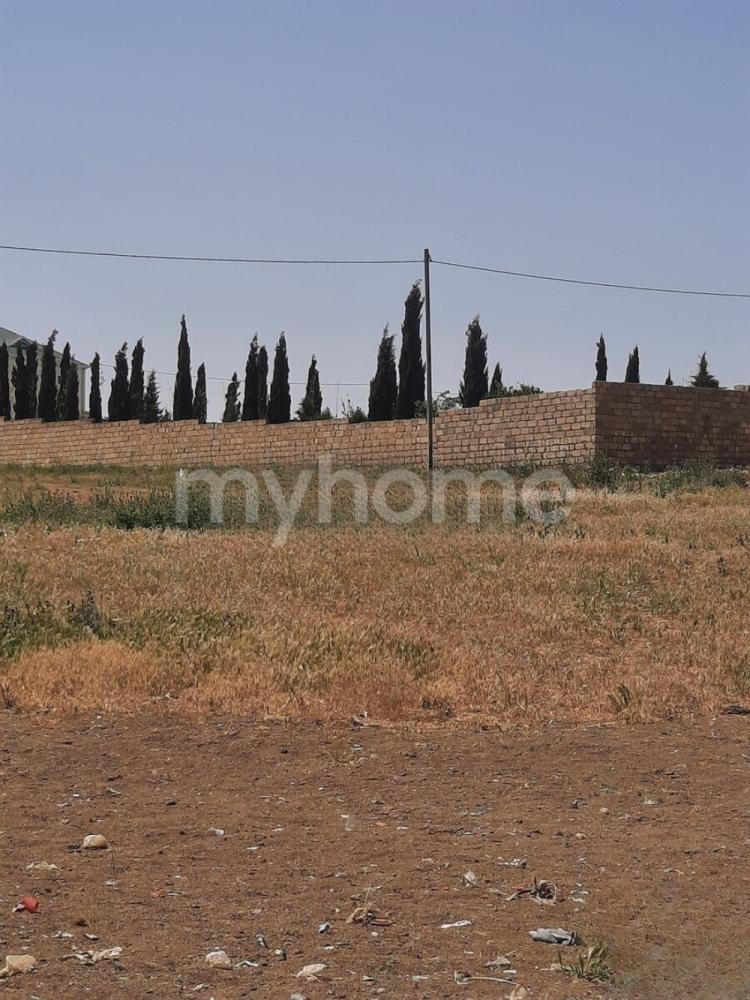  Bakı şəhərində torpaq satılır
