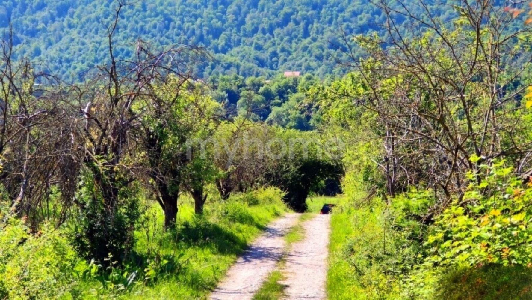  Qusar şəhərində torpaq satılır
