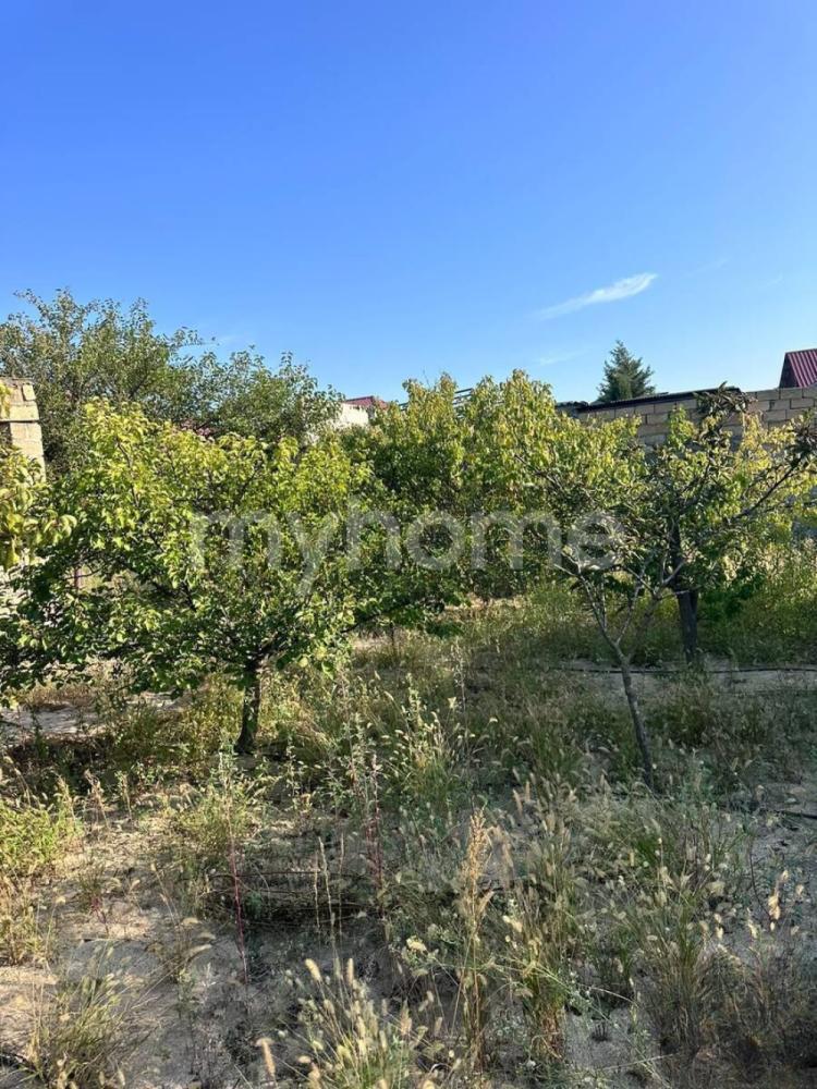  Bakı şəhərində torpaq satılır