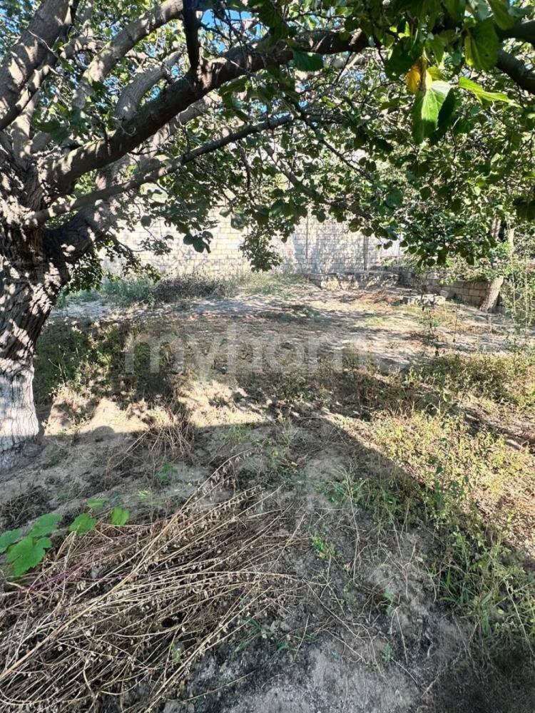  Bakı şəhərində torpaq satılır