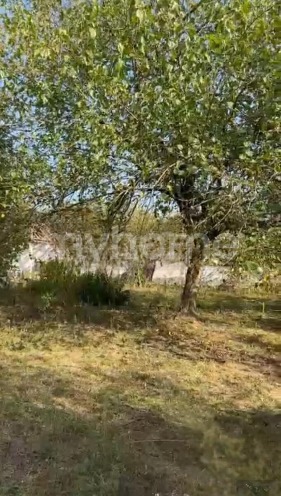  Bakı şəhərində torpaq satılır