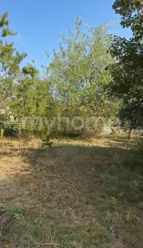  Bakı şəhərində torpaq satılır