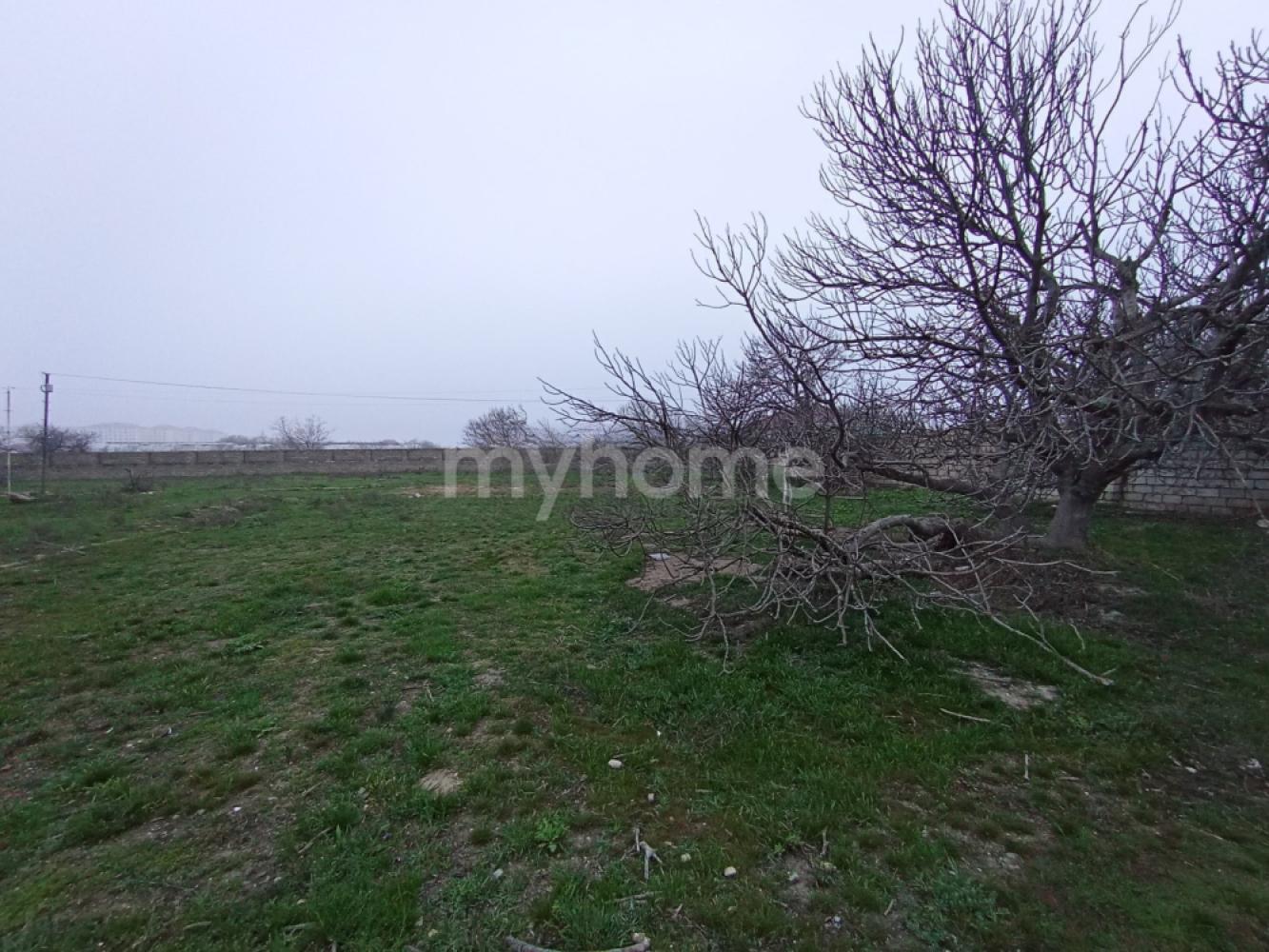  Ramana qəsəbəsində torpaq satılır