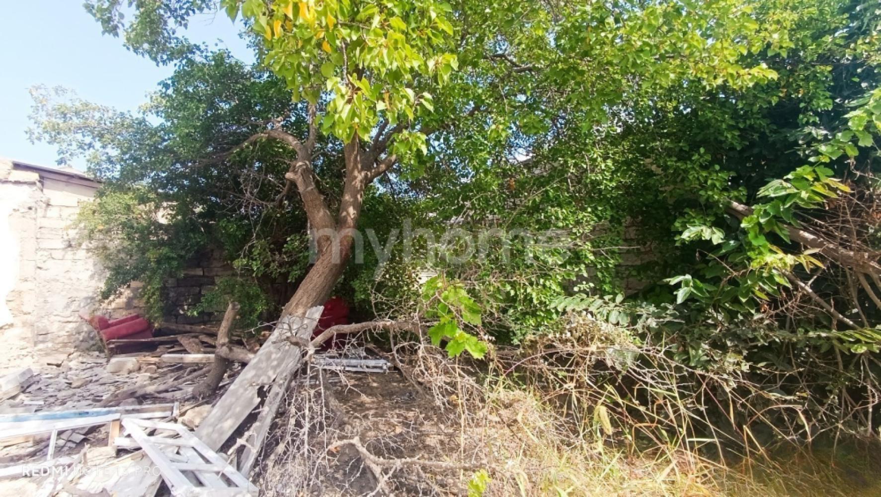  Maştağa qəsəbəsində torpaq satılır