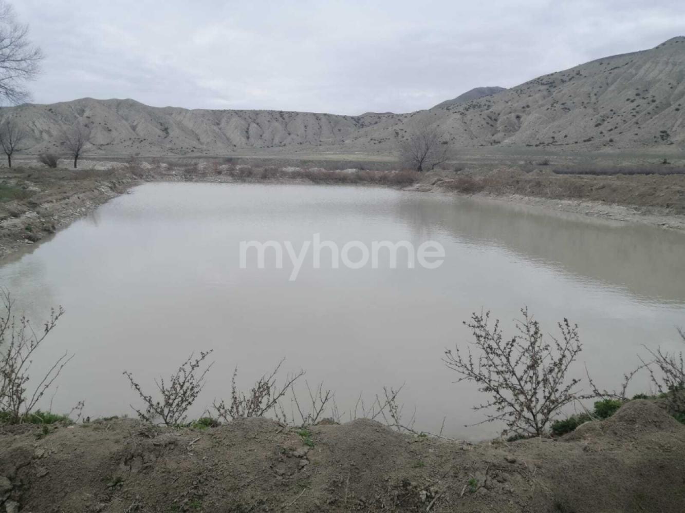  Şamaxı şəhərində obyekt satılır