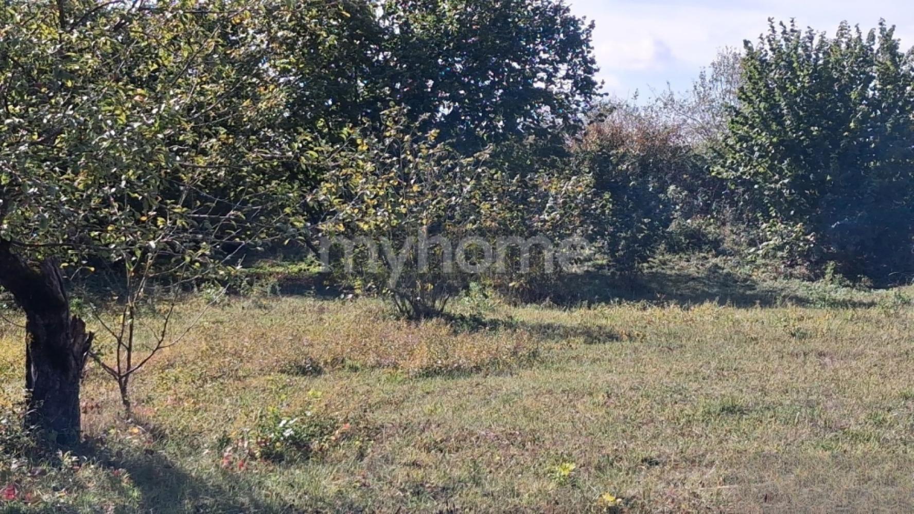  Bakı şəhərində torpaq satılır