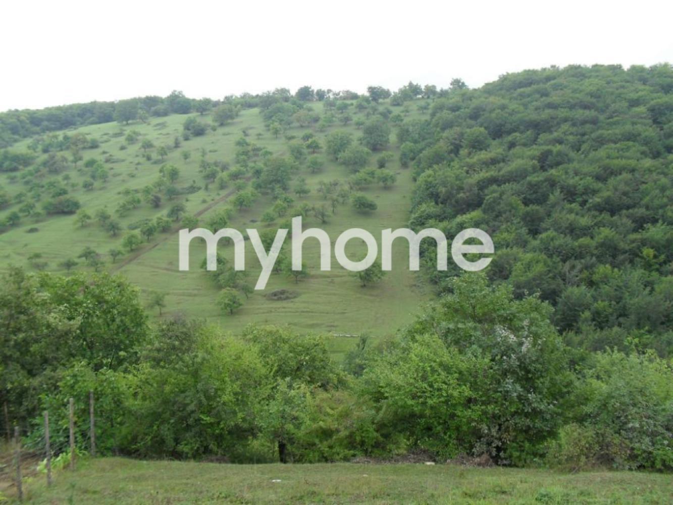 Qusar şəhərində torpaq satılır Qusar şəhərində torpaq satılır
