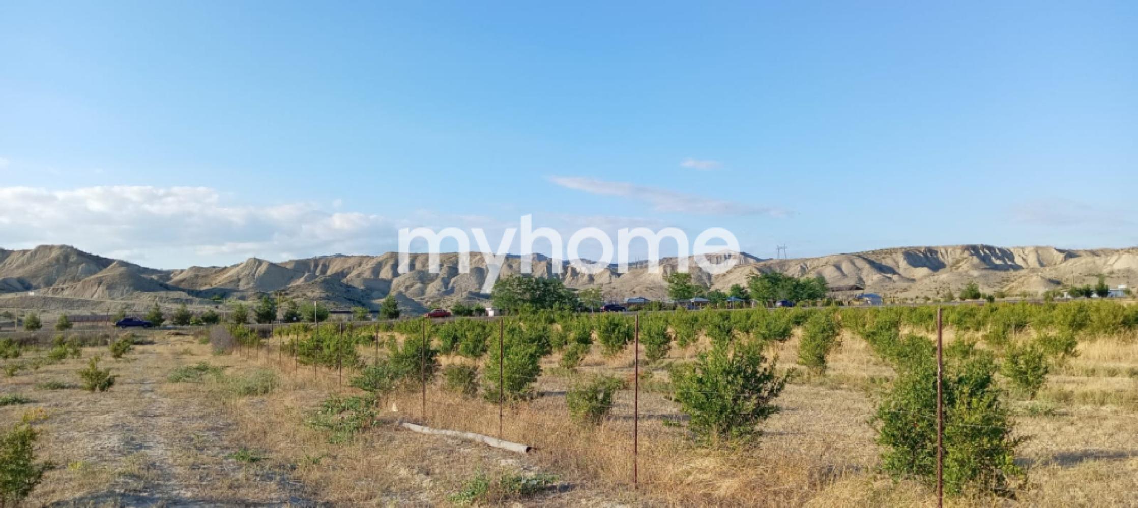 Göyçay şəhərində torpaq satılır Göyçay şəhərində torpaq satılır