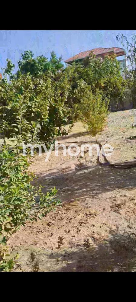 Albalılıq qəsəbəsində 220m² həyət evi satılır Albalılıq qəsəbəsində 220m² həyət evi satılır