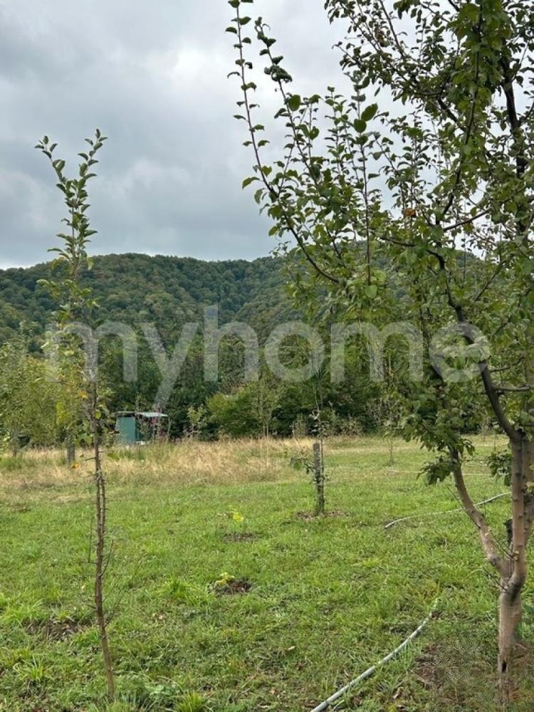 Bakı şəhəri torpaq satılır
