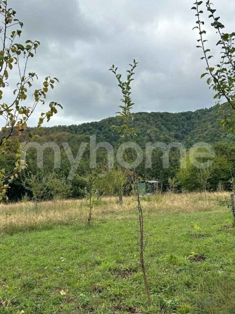 Bakı şəhəri torpaq satılır