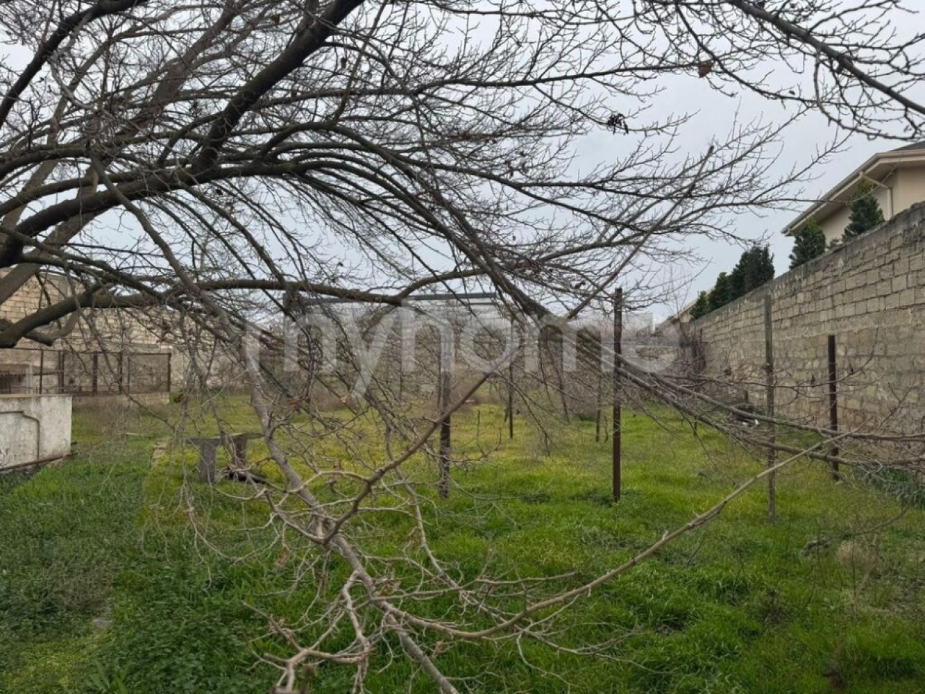 Mərdəkan qəsəbəsi torpaq satılır