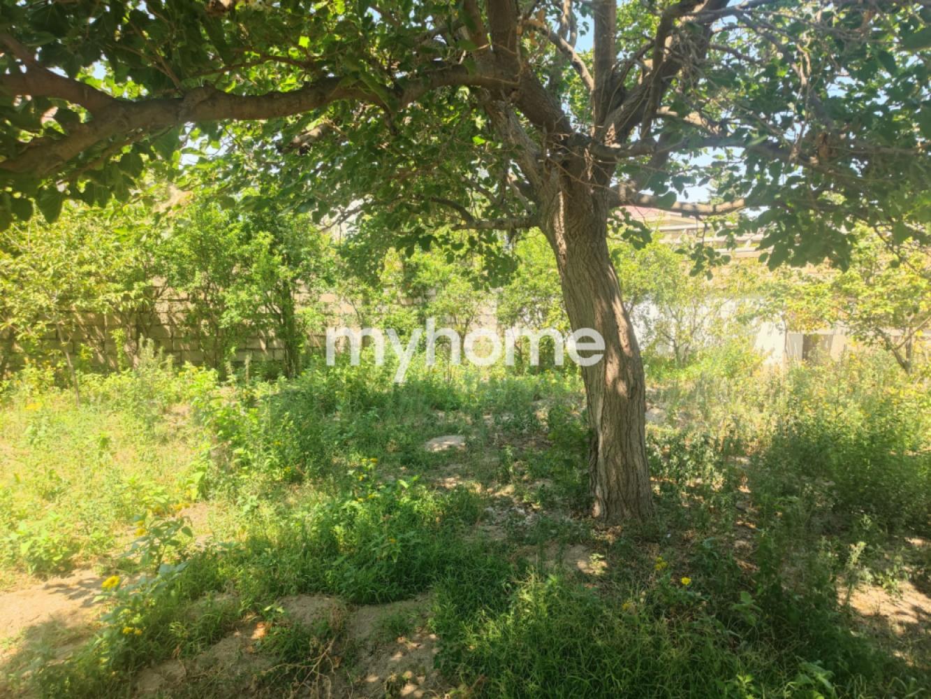 Yeni Corat qəsəbəsində 200m² həyət evi satılır Yeni Corat qəsəbəsində 200m² həyət evi satılır