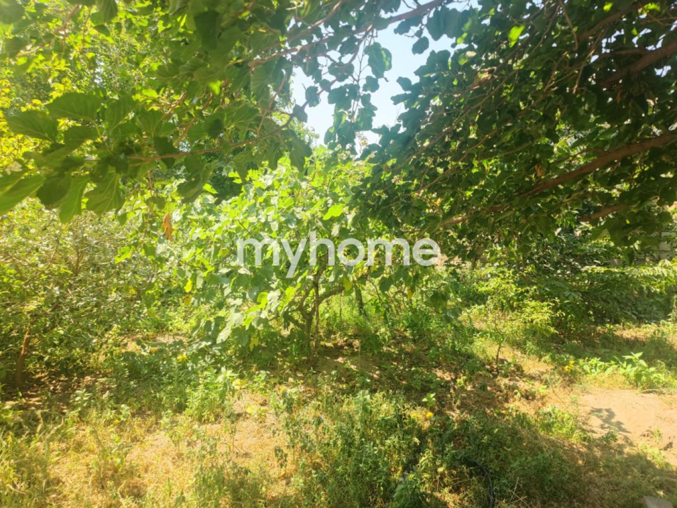 Yeni Corat qəsəbəsində 200m² həyət evi satılır Yeni Corat qəsəbəsində 200m² həyət evi satılır