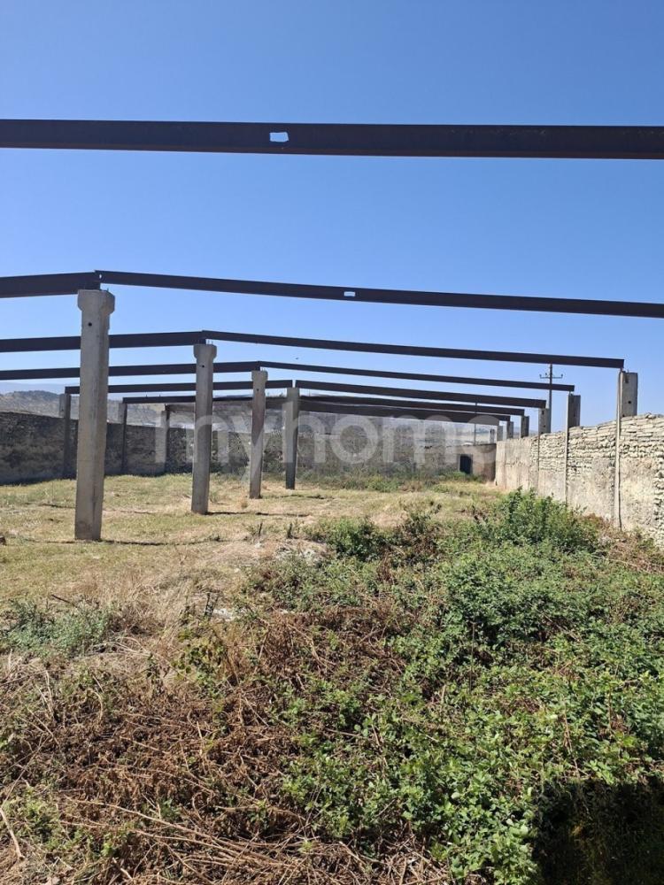 Şabran şəhəri torpaq satılır