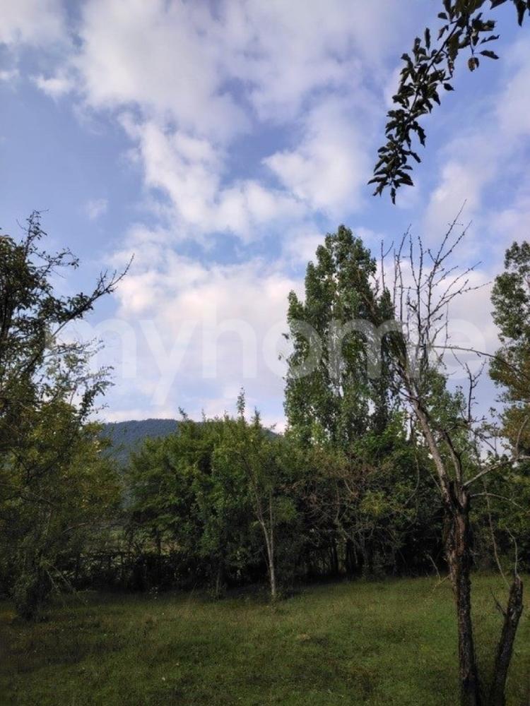 Bakı şəhəri torpaq satılır