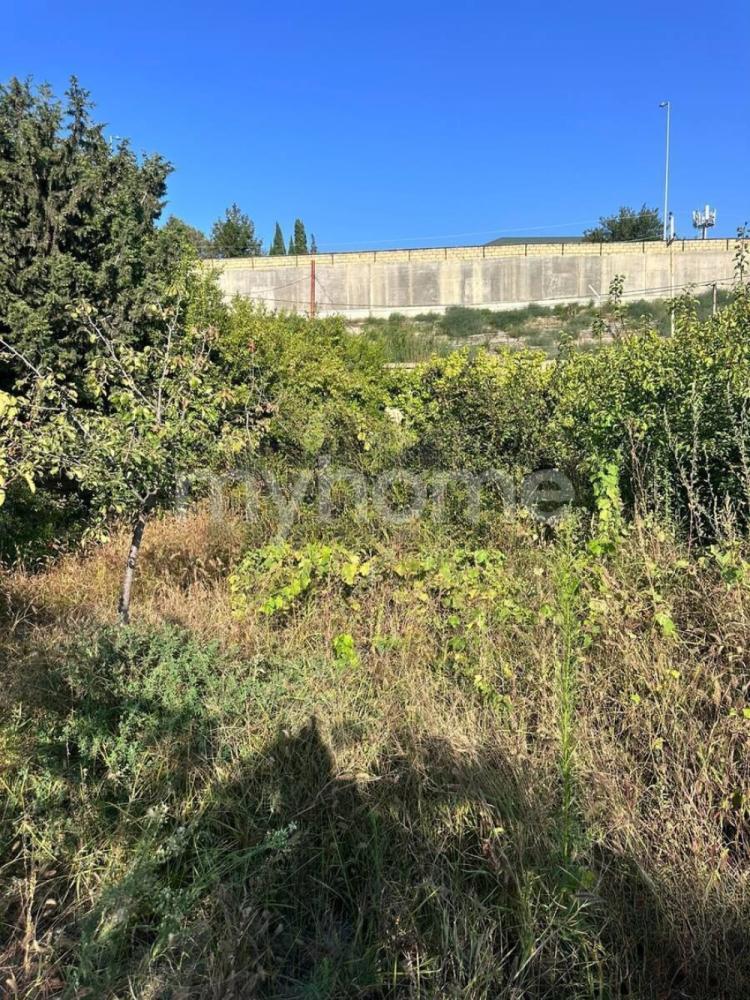 Novxanı qəsəbəsi torpaq satılır