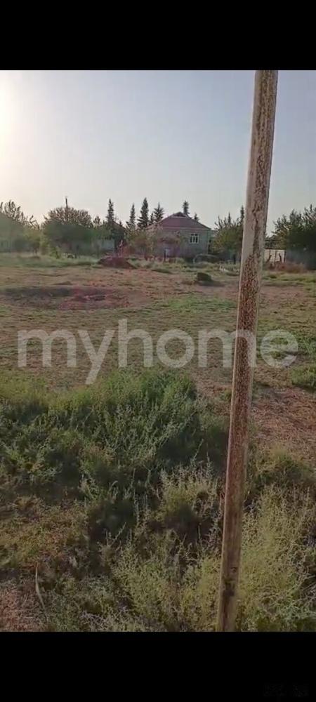 Biləsuvar şəhəri torpaq satılır