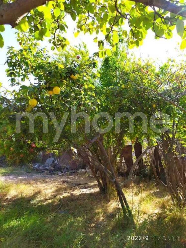 Sumqayıt şəhəri torpaq satılır
