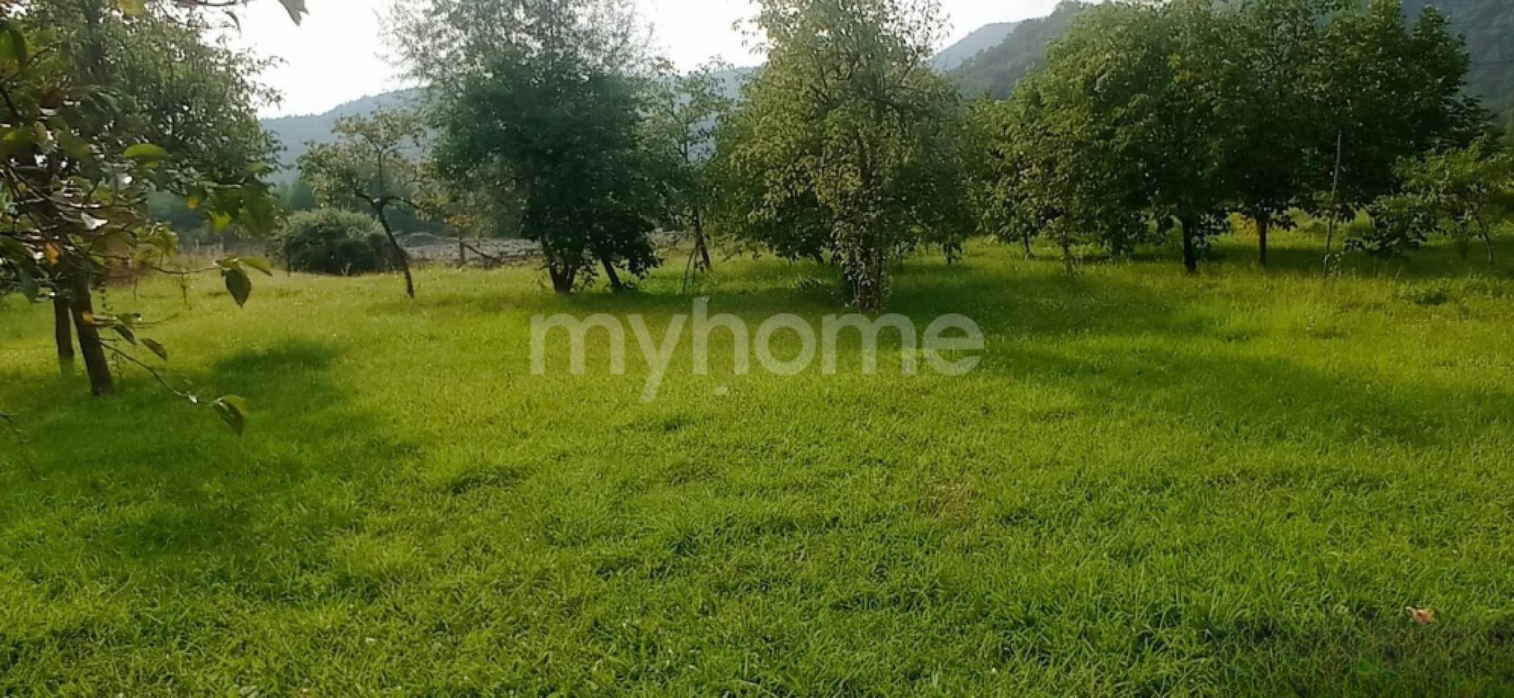 Zaqatala şəhəri torpaq satılır