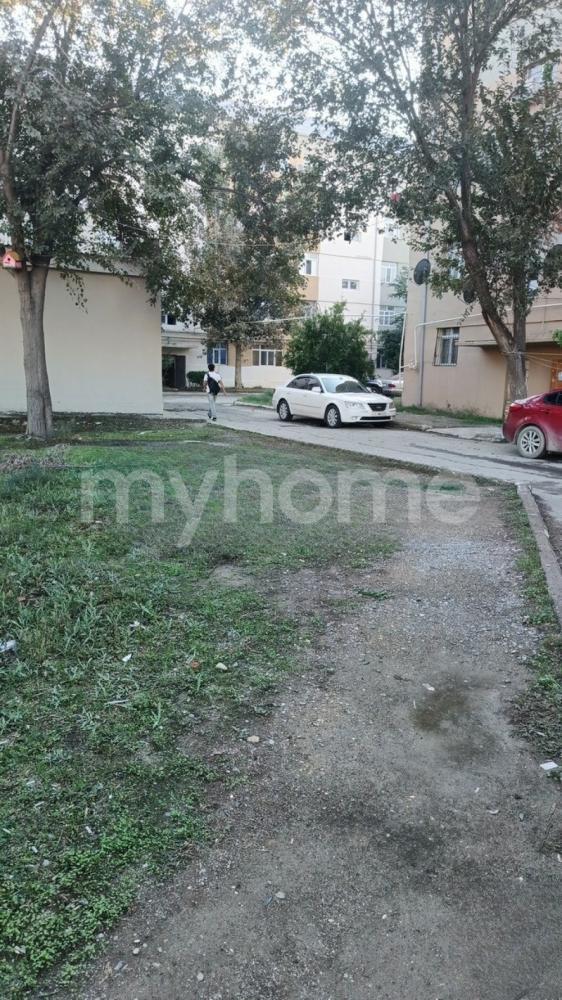 Şirvan qəsəbəsi torpaq satılır