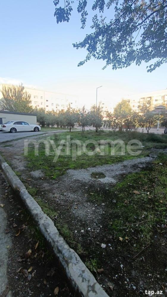 Şirvan qəsəbəsi torpaq satılır