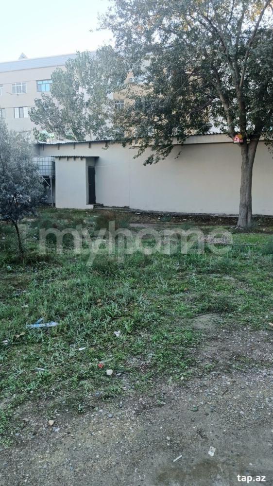 Şirvan qəsəbəsi torpaq satılır