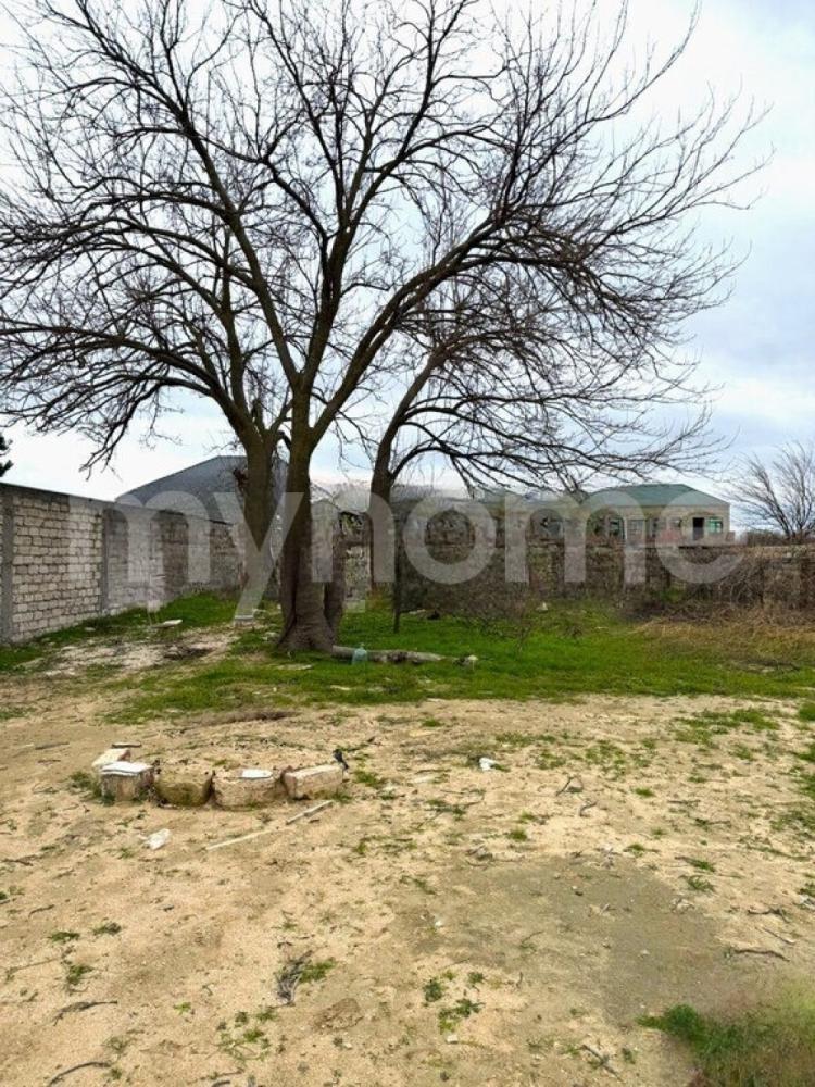 Nardaran qəsəbəsi torpaq satılır