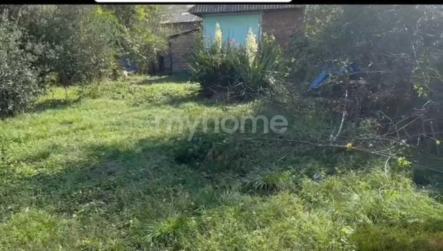 Masallı şəhəri torpaq satılır