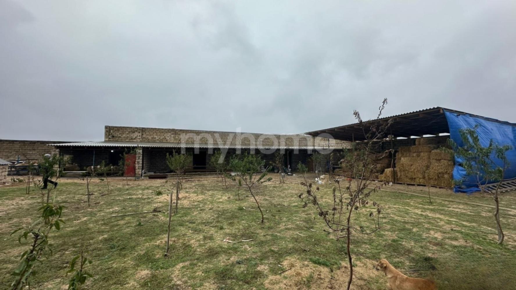 Nardaran qəsəbəsi torpaq satılır